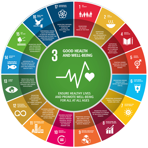 Virchow Prize & SDGs - Virchow Foundation | Virchow Prize for Global Health