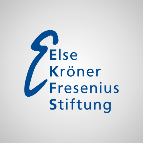 Else Kröner-Fresenius-Stiftung